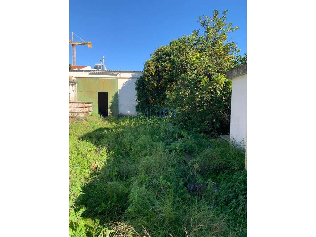 Terreno para Venda no Montijo - Grande imagem: 4/26