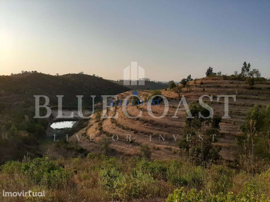 Herdade Única na Barragem de Santa Clara - 33,77ha de potencial - Grande imagem: 3/21