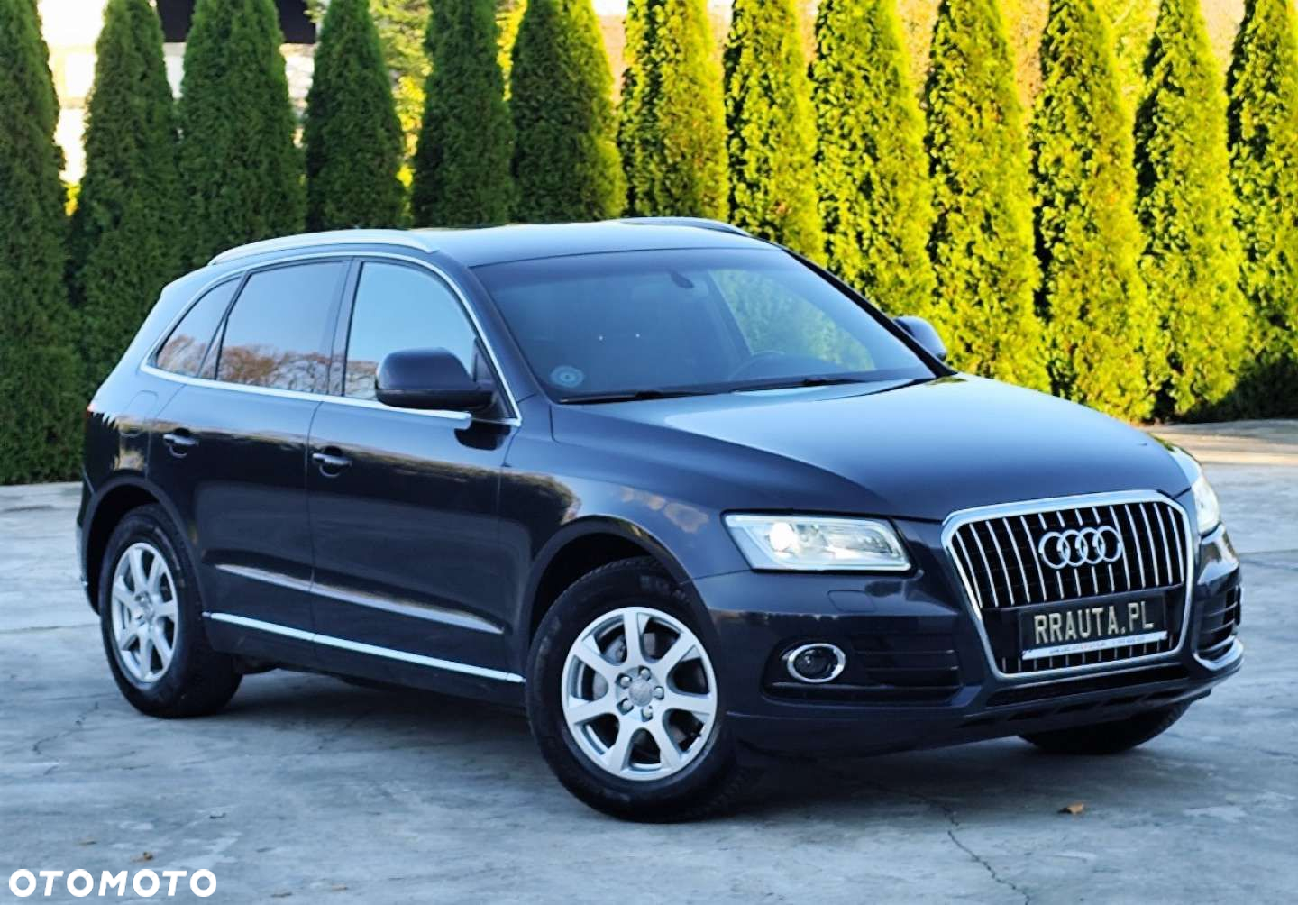 Audi Q5 - 11