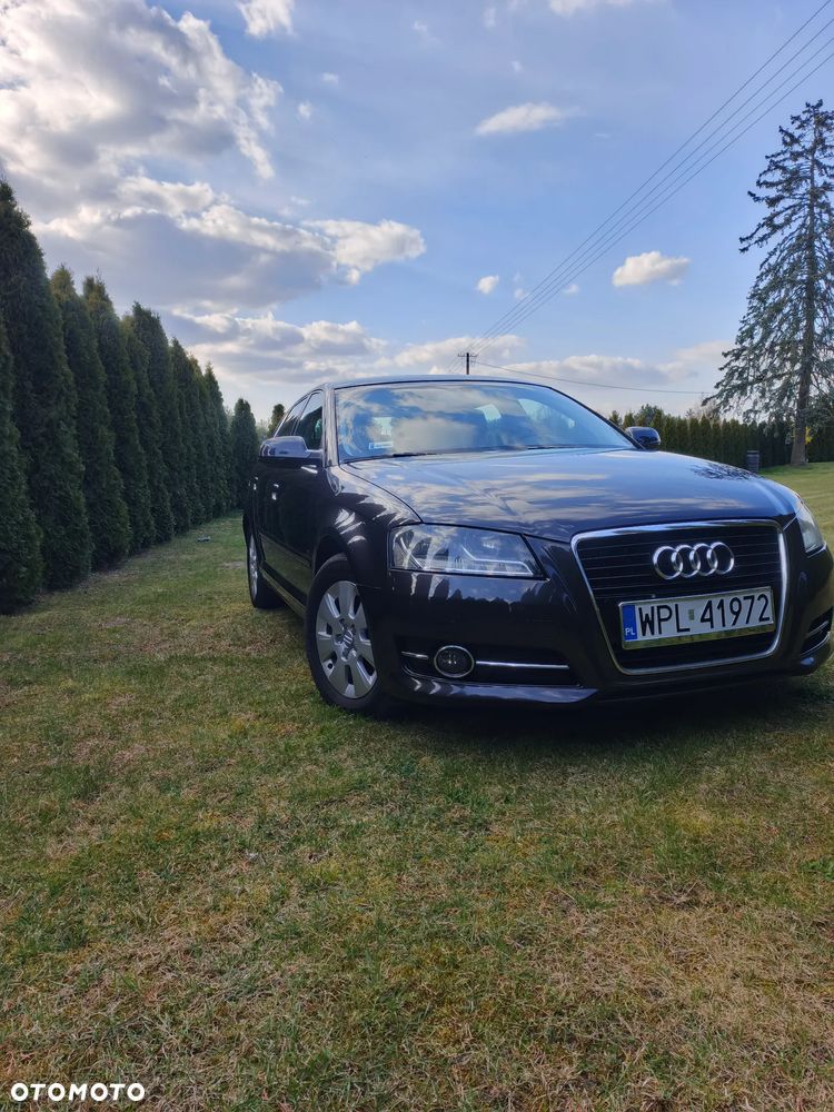 Audi A3 Sportback 1.6 TDI Attraction - 6