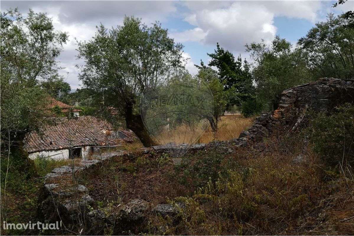 Moradia para recuperação - Grande imagem: 4/12