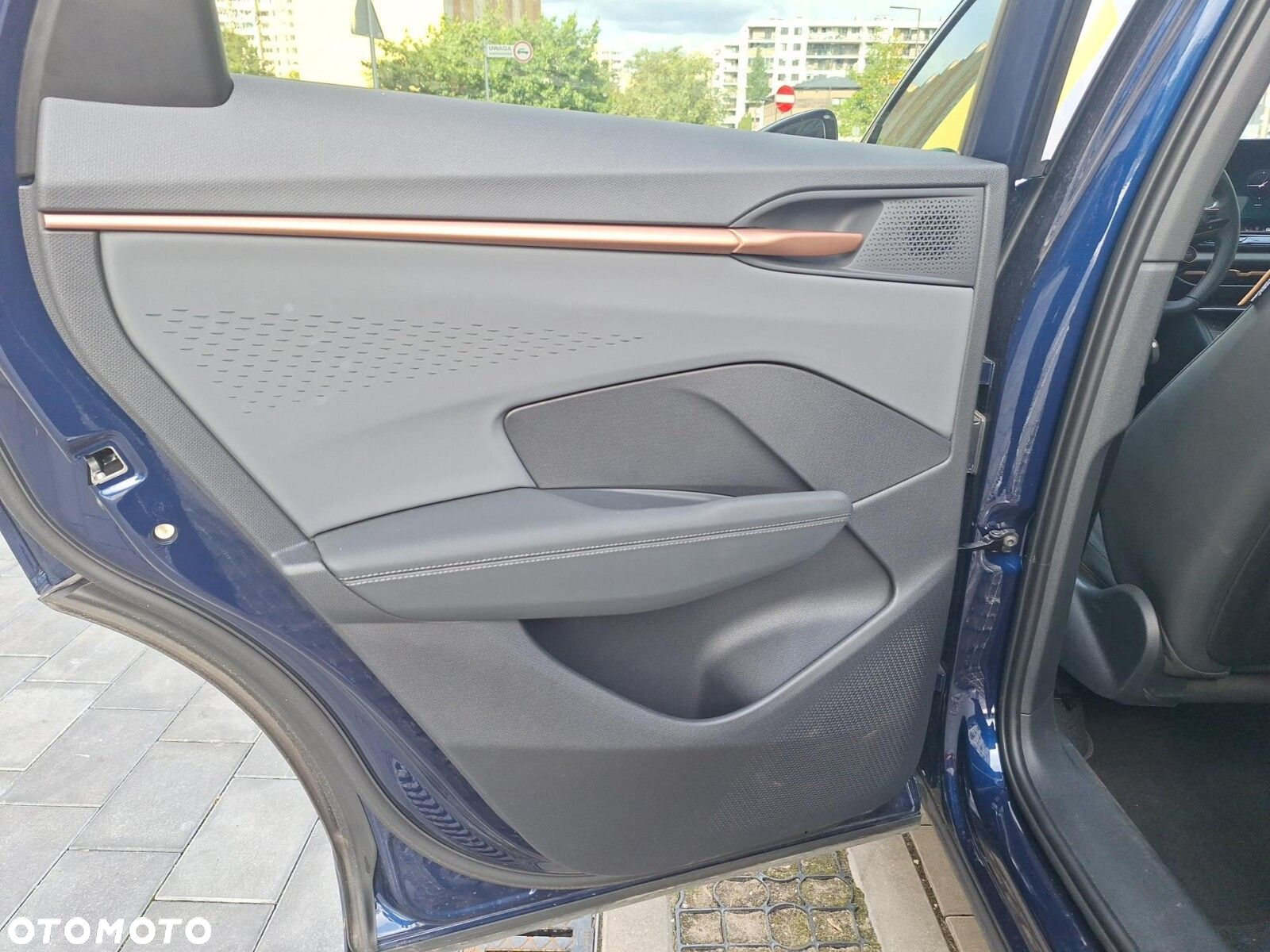 Cupra Terramar - 24