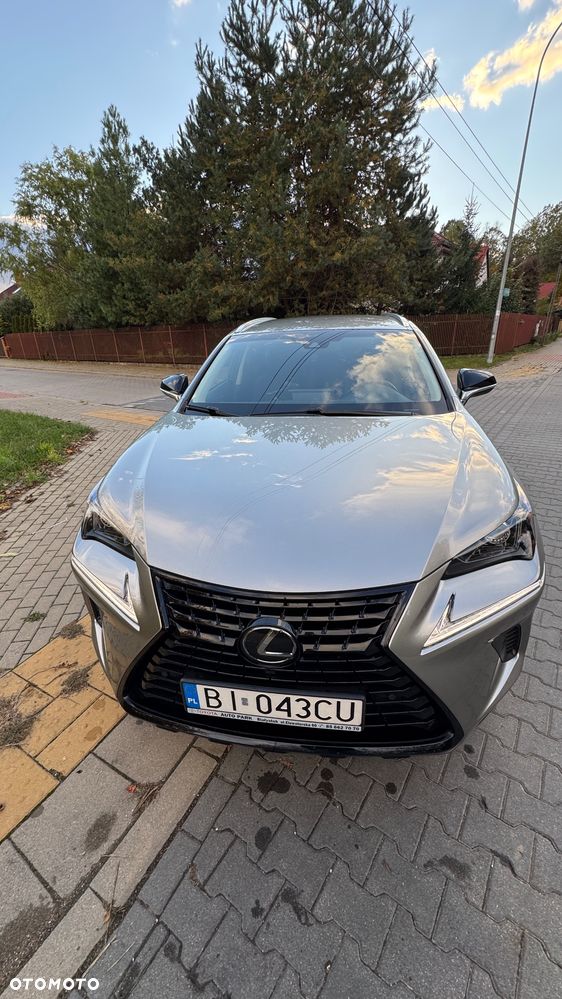 Lexus NX 300 Business Edition AWD - 1