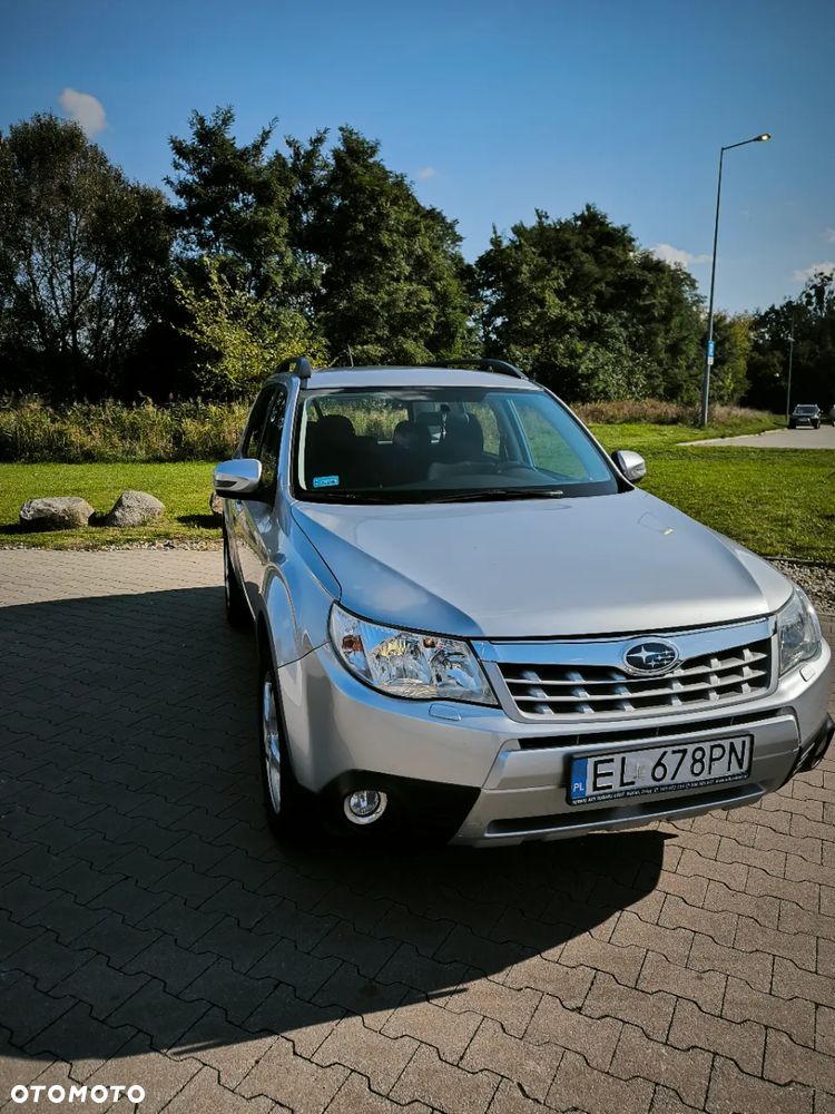 Subaru Forester - 5