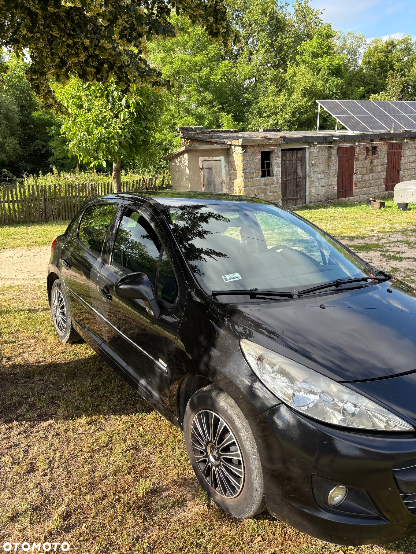 Peugeot 207 - 6
