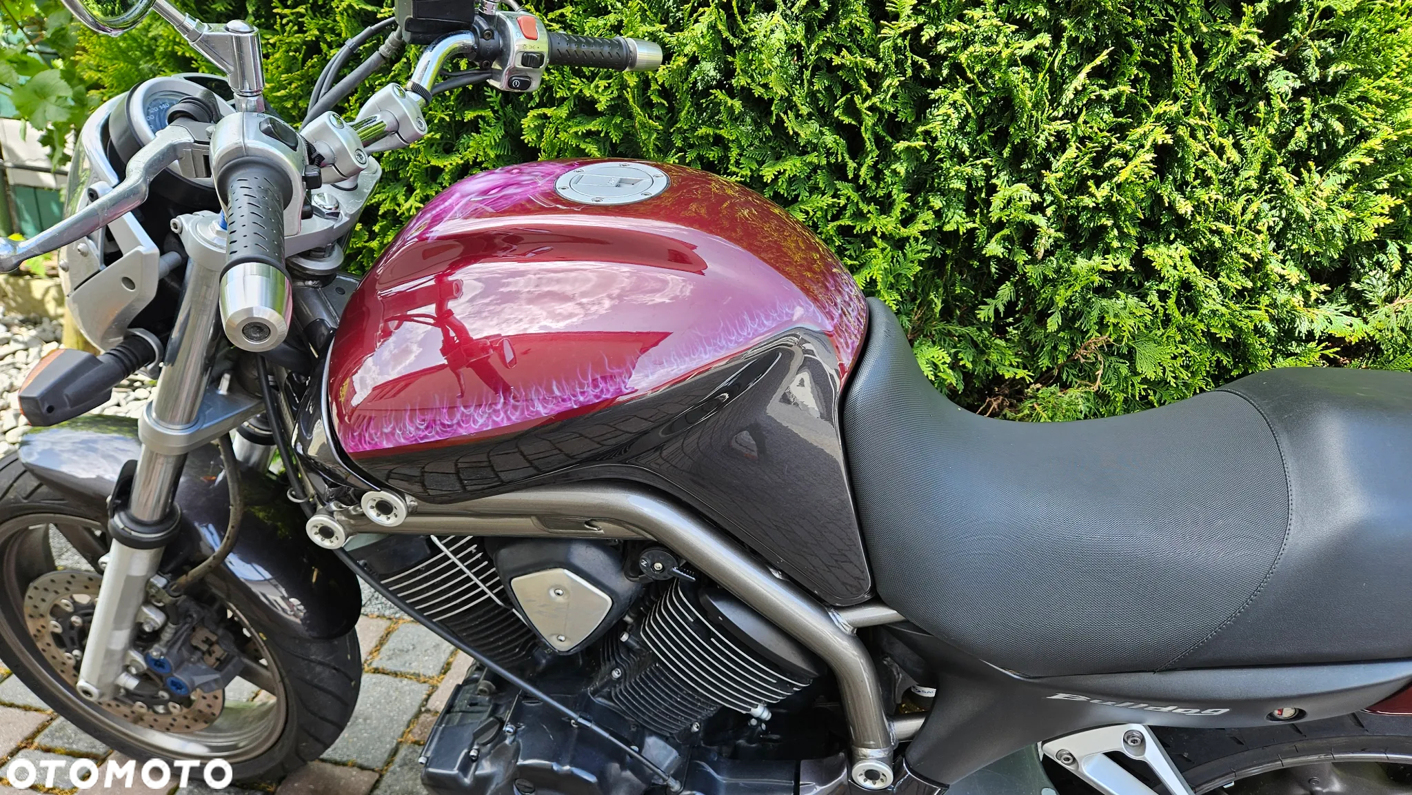 Yamaha Bulldog - 19