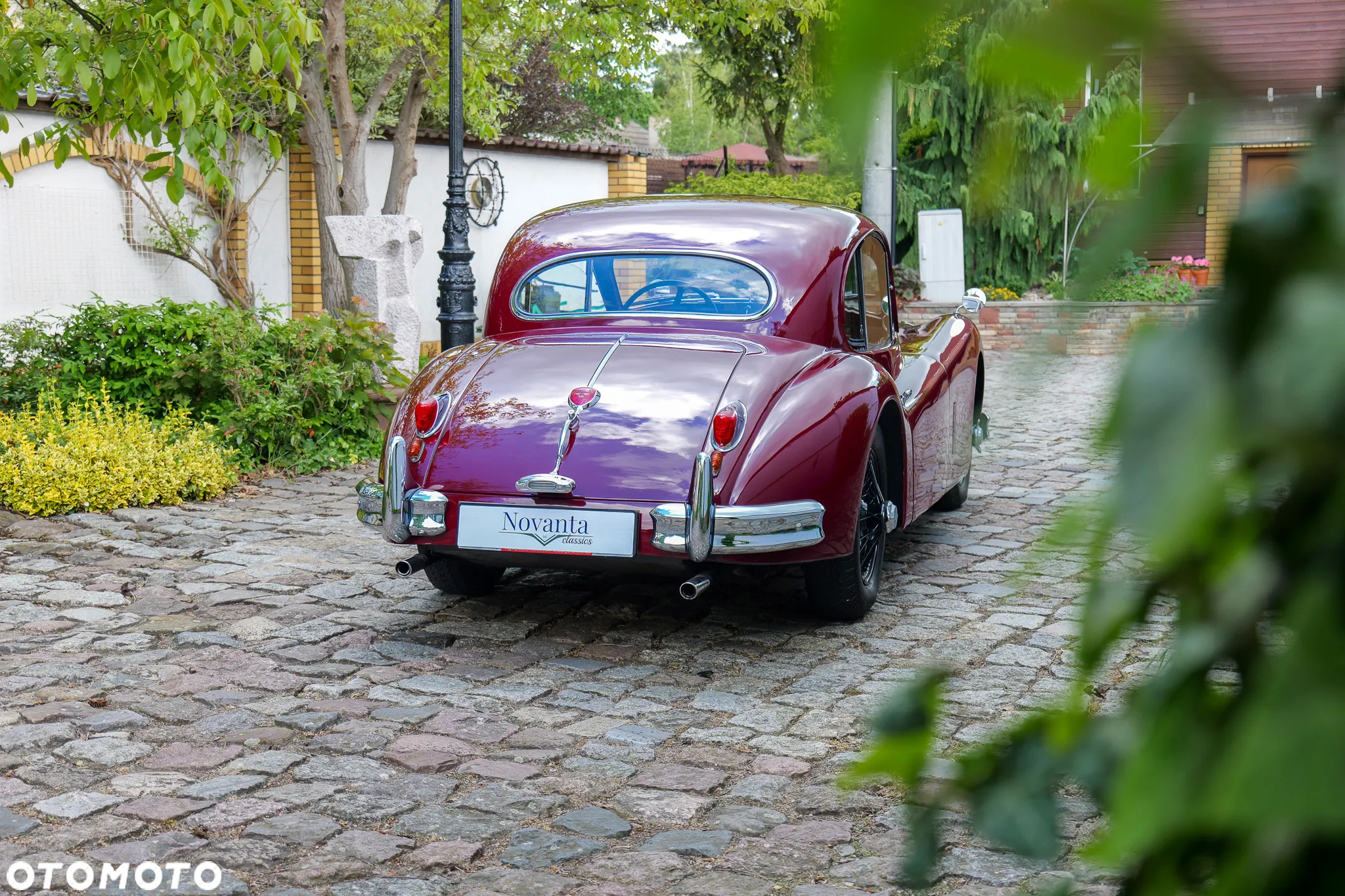 Jaguar XK - 6