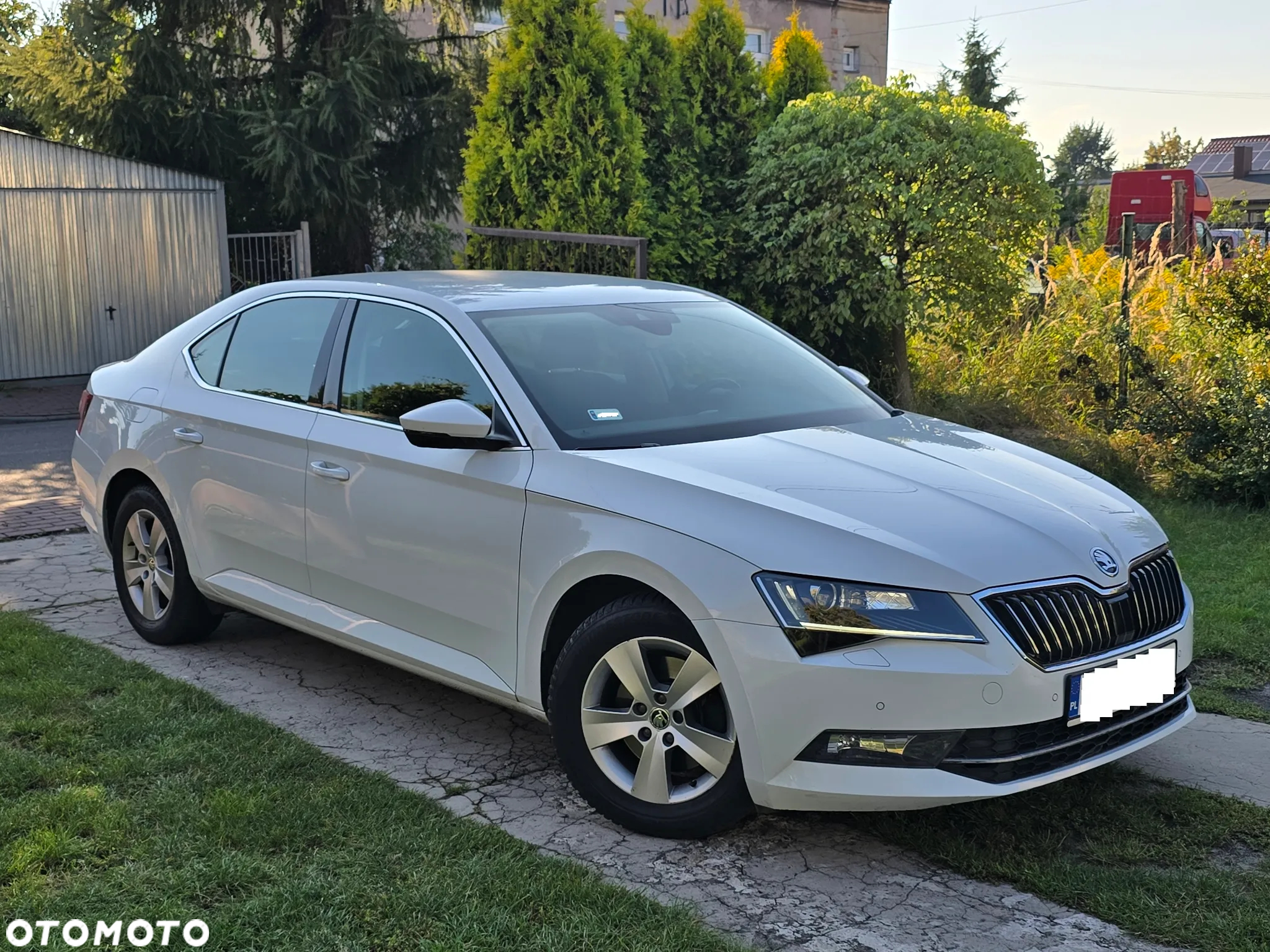 Skoda Superb 2.0 TDI Sportline DSG - 15