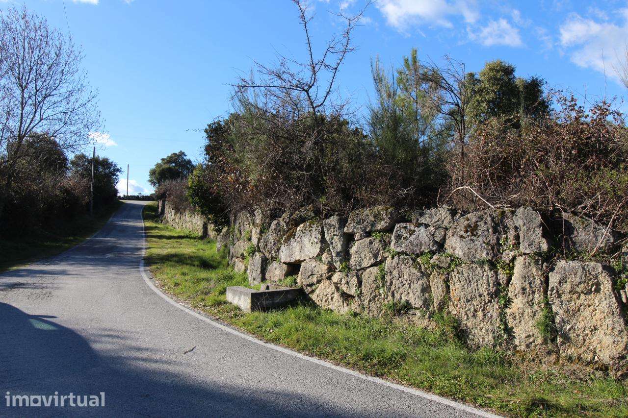 Magnífica Quinta com 11ha - Fornos de Algodres - Grande imagem: 5/11