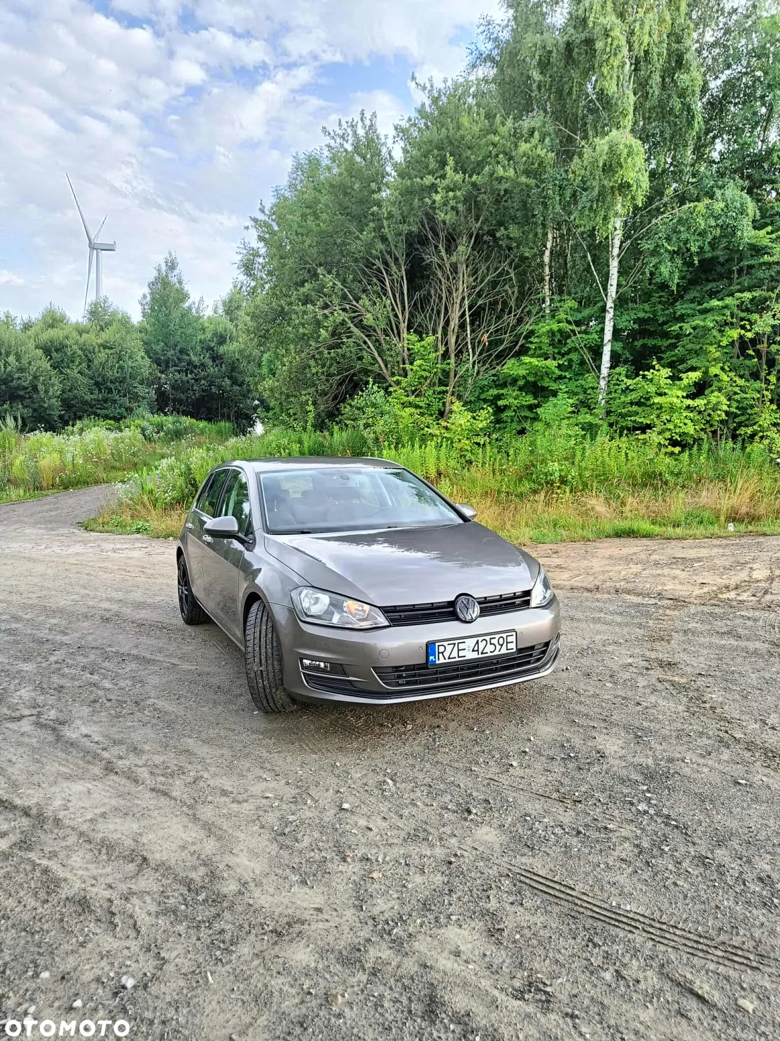 Volkswagen Golf - 7
