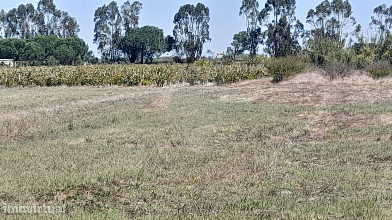 Terreno  para venda - Grande imagem: 3/10