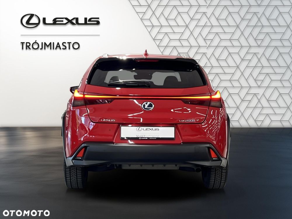 Lexus UX 250h GPF Business Edition 2WD - 5