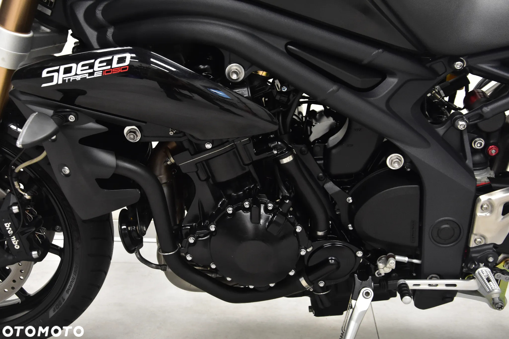 Triumph Speed Triple - 25