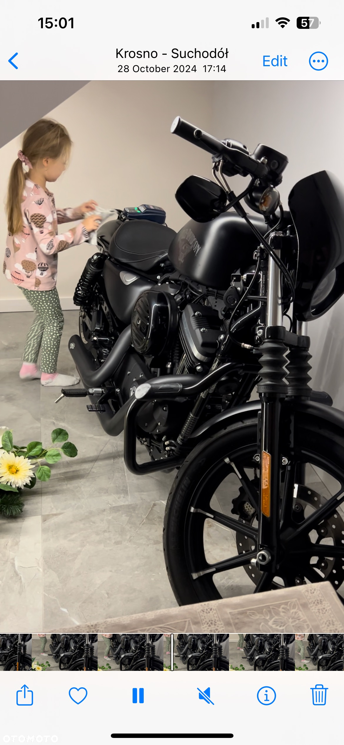 Harley-Davidson Sportster Iron 883 - 7
