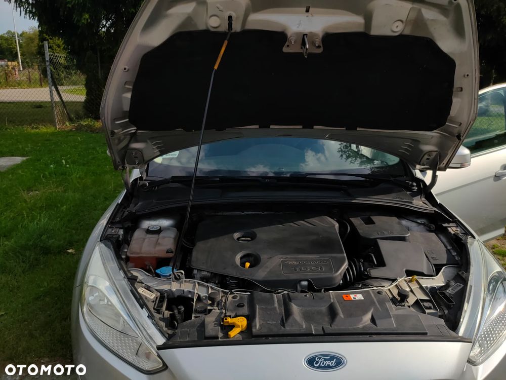 Ford Focus - 19