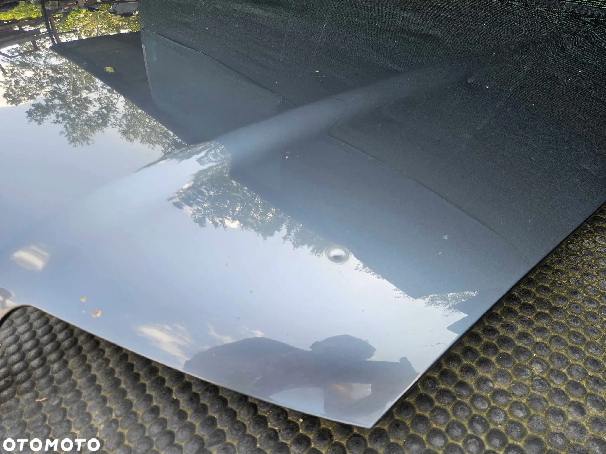 Maska Pokrywa Silnika Przód Przednia LX7Z Szara Audi A4 B6 Oryginalny Lakier - 21