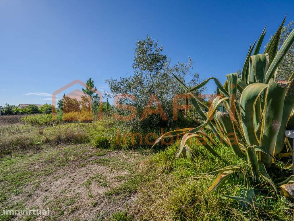 Terreno urbanizável com 4277m2 - Grande imagem: 5/16