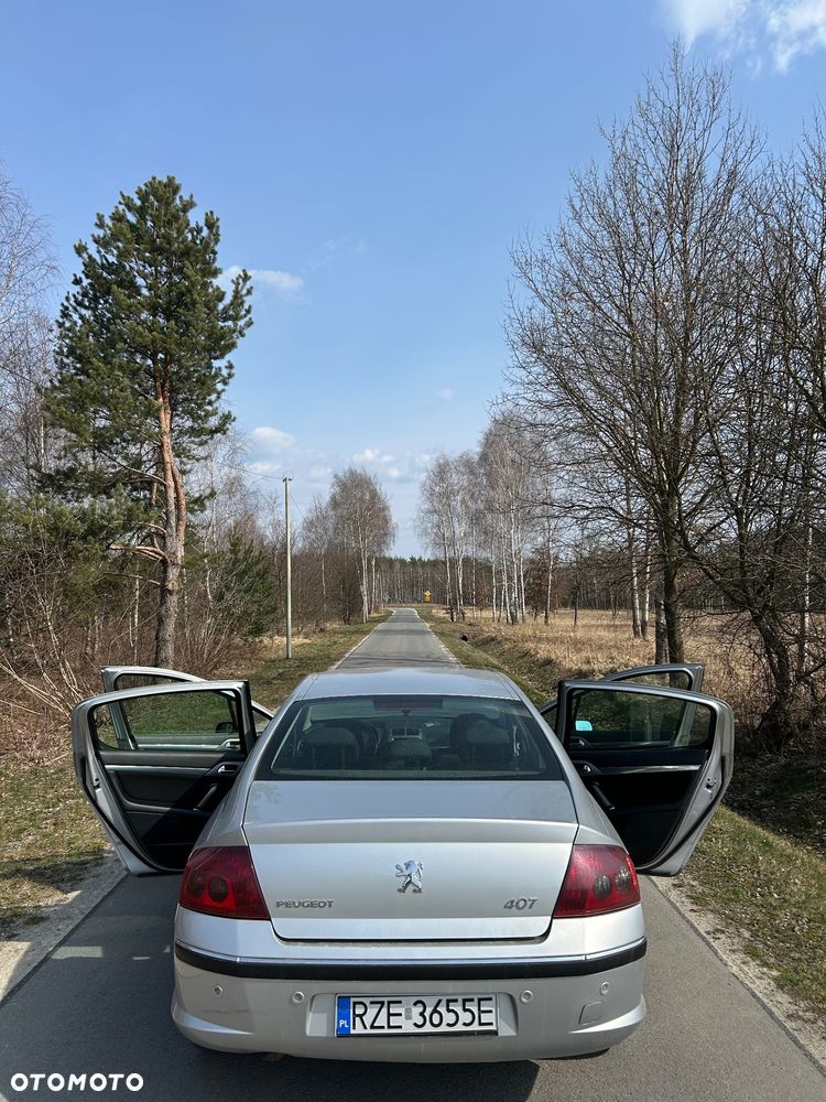 Peugeot 407 - 16