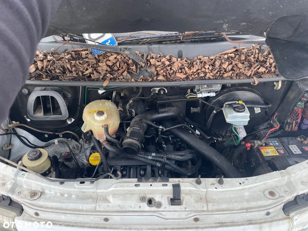 Opel Movano na części Kolor: 11U - 6