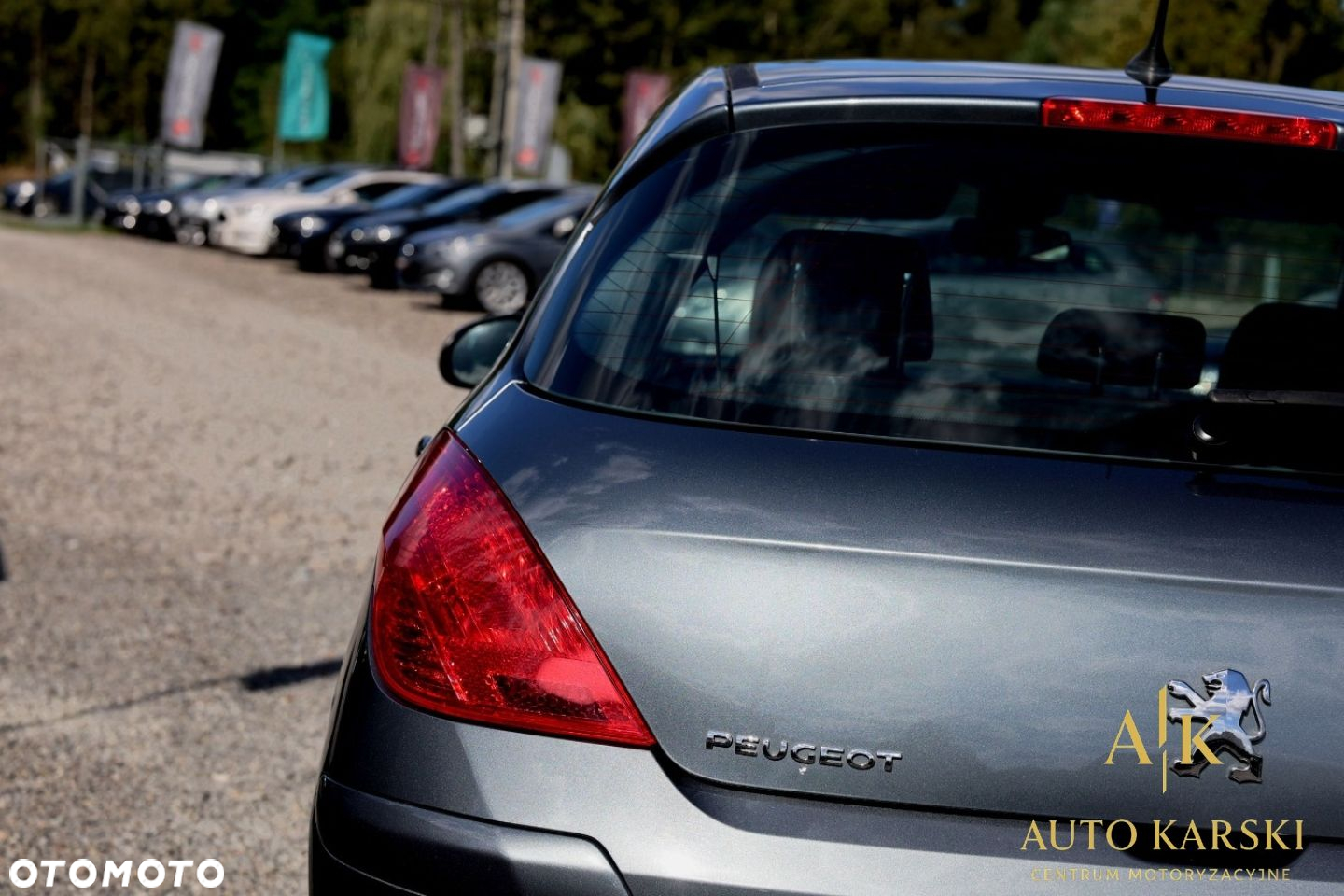 Peugeot 308 - 14