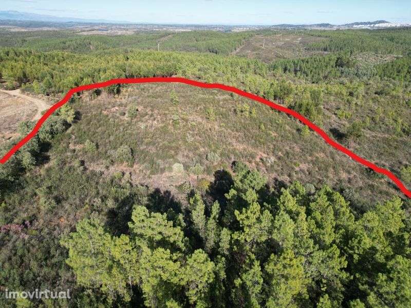 Terreno Rústico - 12580 m2 - Grande imagem: 2/2