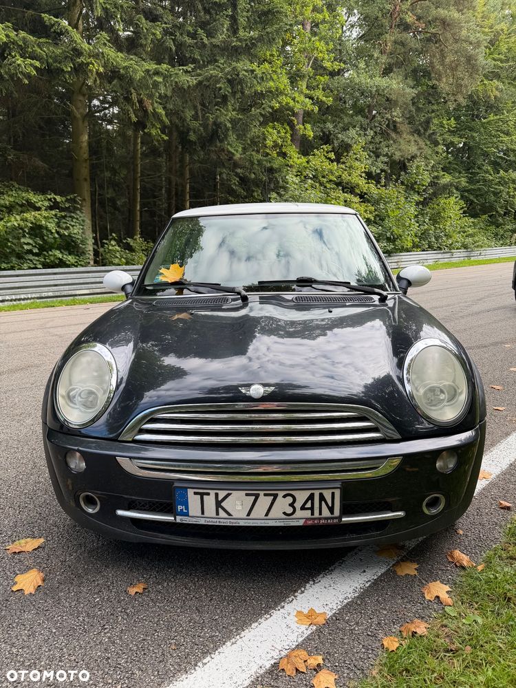 MINI ONE salt - 13