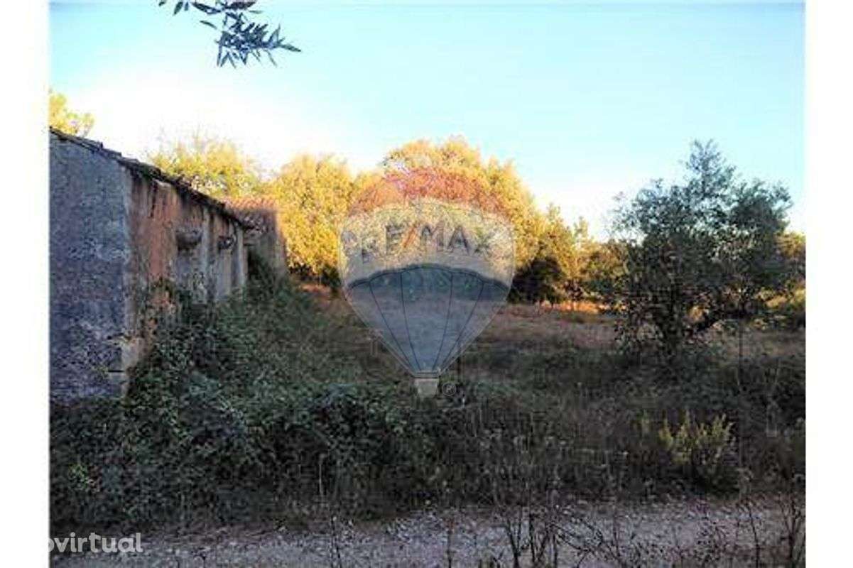 Moradia- T3 - Venda em Santiago da Guarda - Grande imagem: 5/5