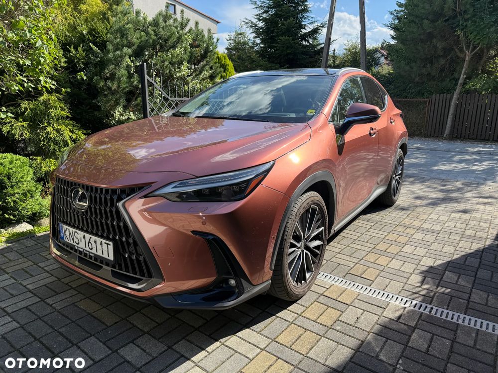 Lexus NX 350h Omotenashi AWD - 3