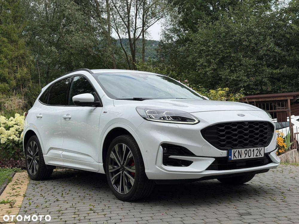 Ford Kuga 2.5 Duratec FHEV 4x4 ST-LINE X - 3