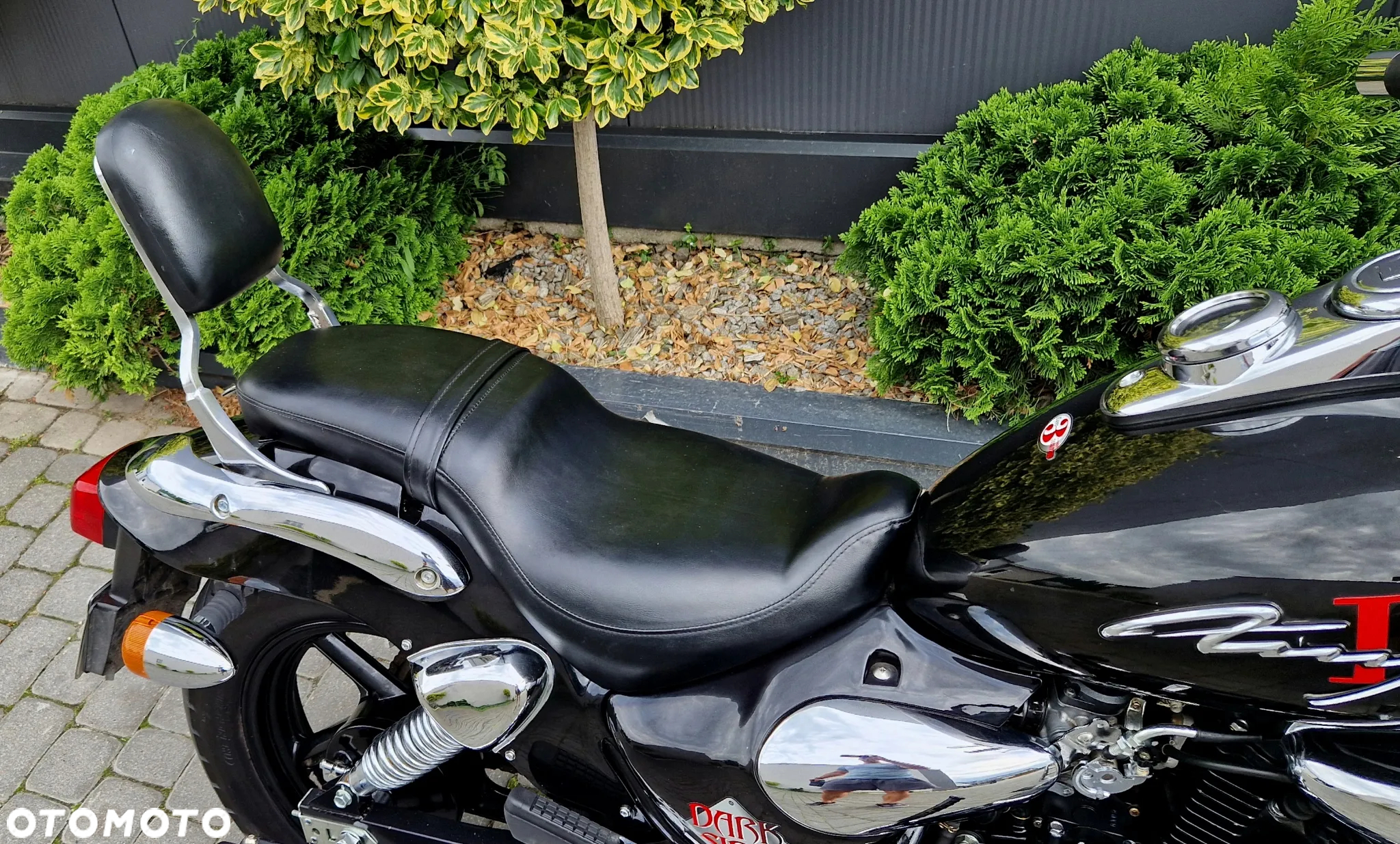 Kymco Zing - 21