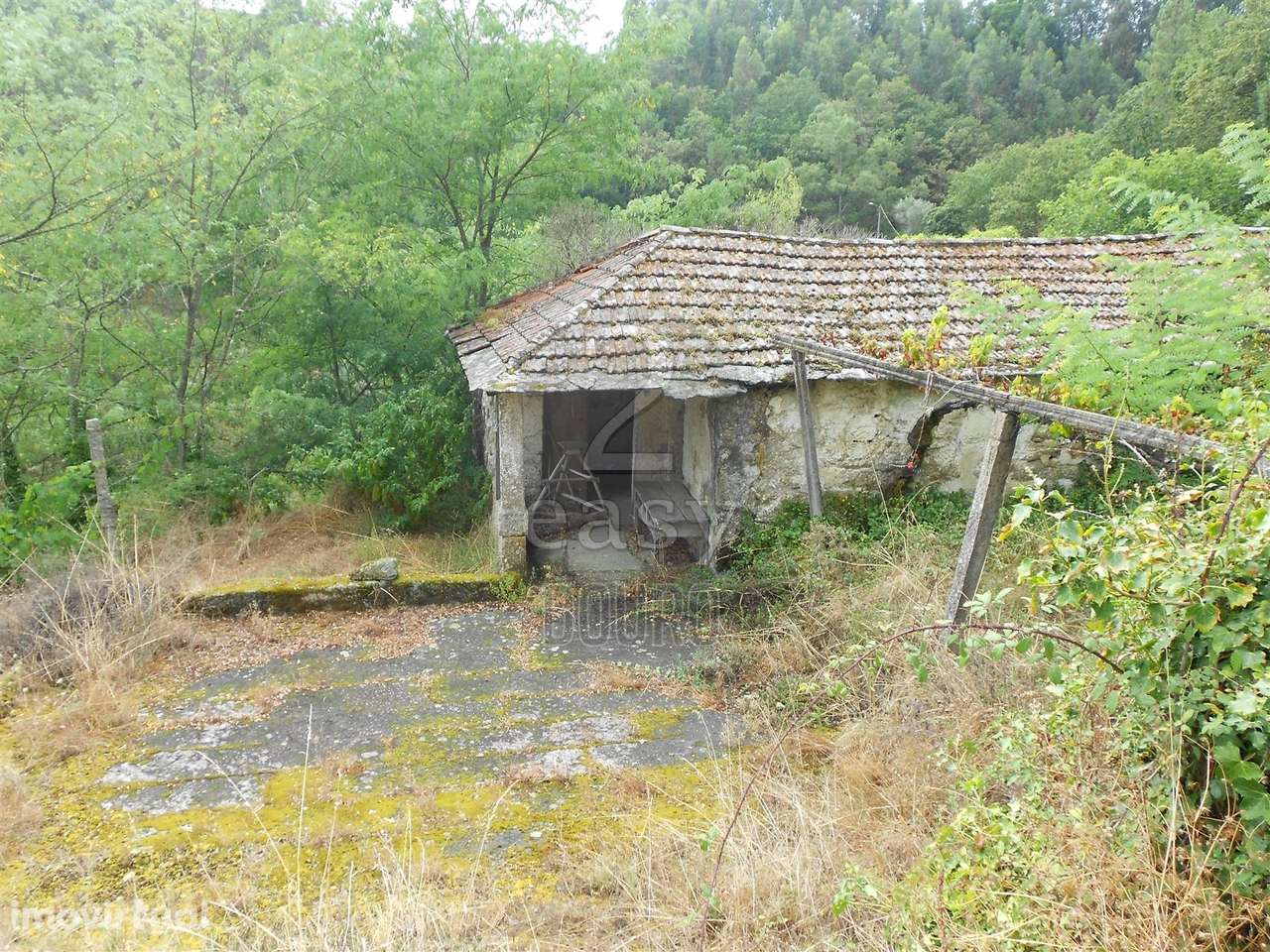 Quinta para Turismo Rural - Grande imagem: 2/60