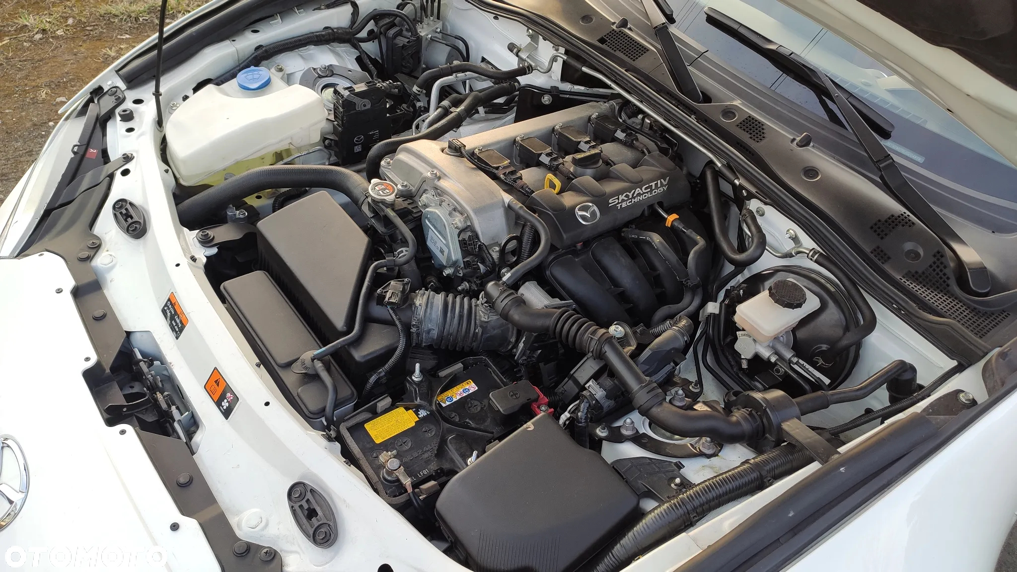 Mazda MX-5 - 10