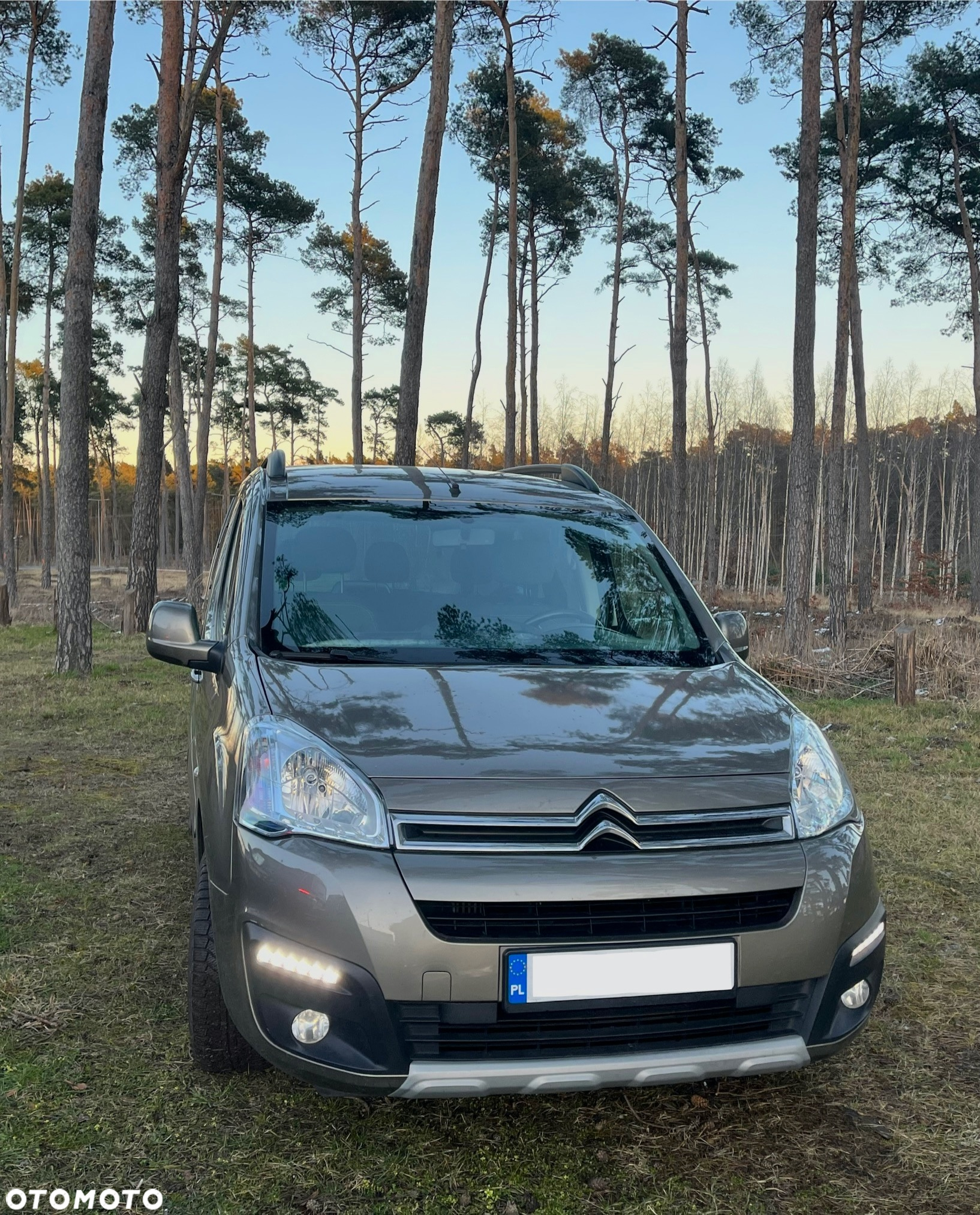 Citroën Berlingo - 5
