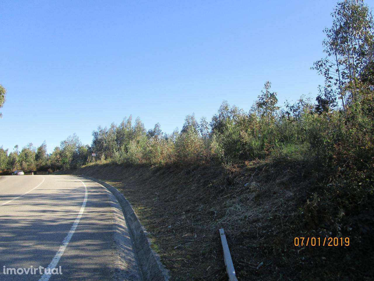Terreno com 10.000 m2, em Nogueira da Regedoura para moradia isolada - Grande imagem: 2/3