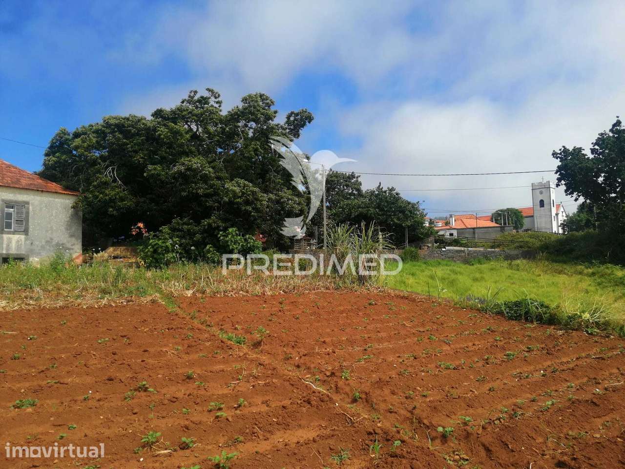 QUINTA CENTENÁRIA NA PONTA DO PARGO PERTO DO FUTURO CAMPO DE GOLFE - Grande imagem: 5/13