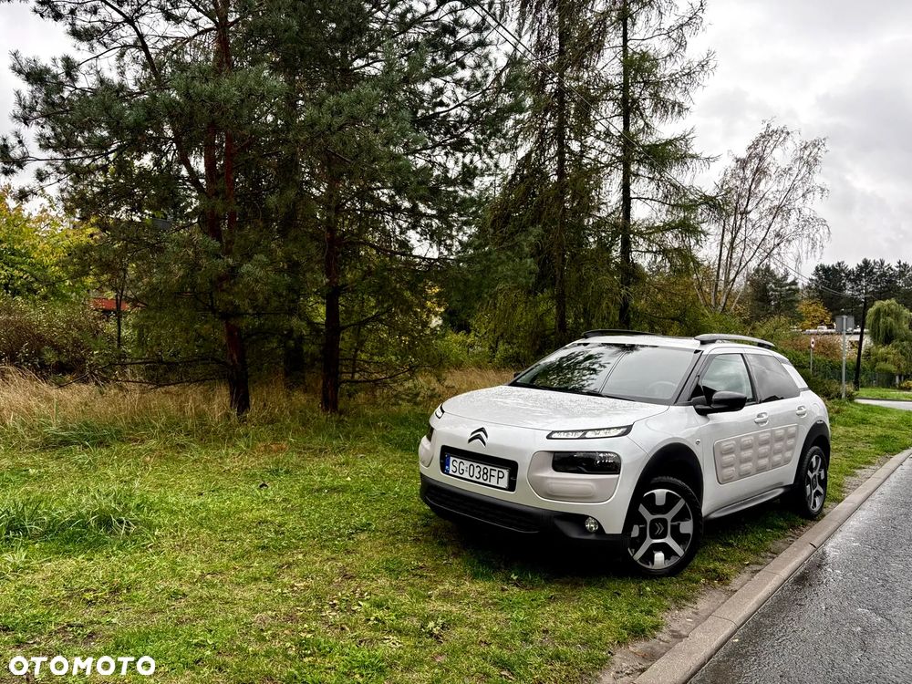 Citroën C4 Cactus PureTech 110 Stop&Start Shine - 18