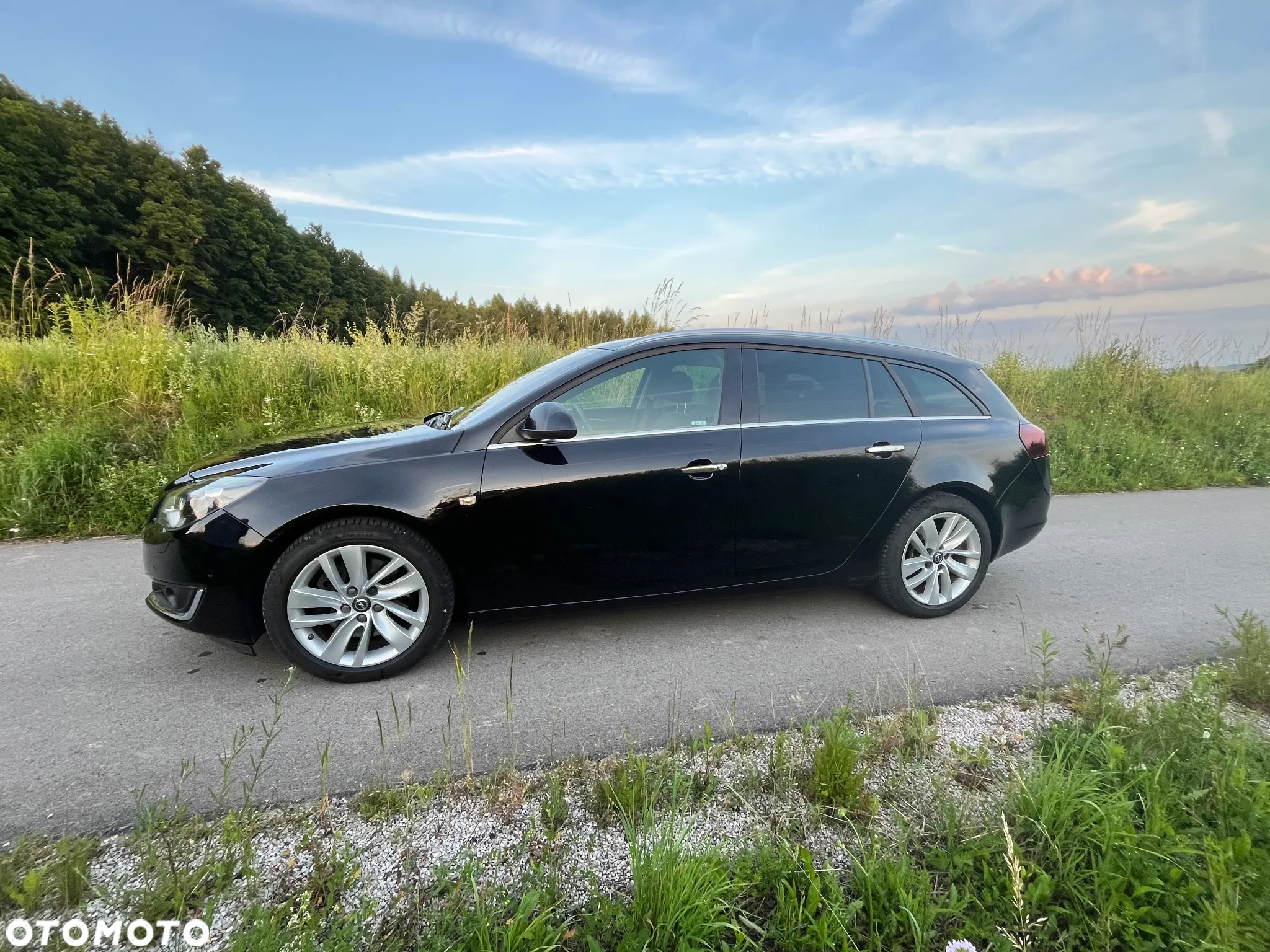 Opel Insignia 2.0 T Executive S&S - 4