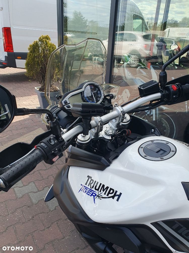 Triumph Tiger - 12