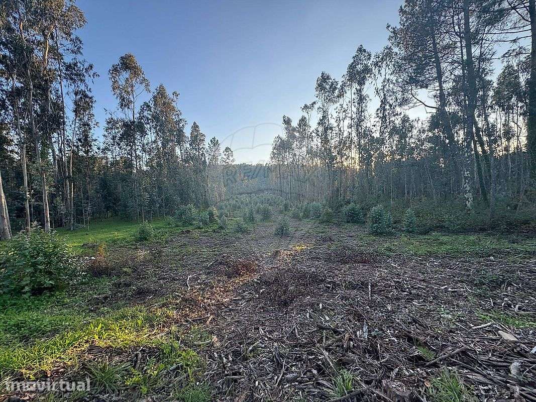 Terreno  para venda - Grande imagem: 5/14