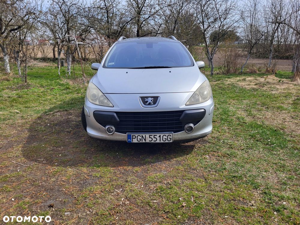 Peugeot 307 1.6 Mistral - 7
