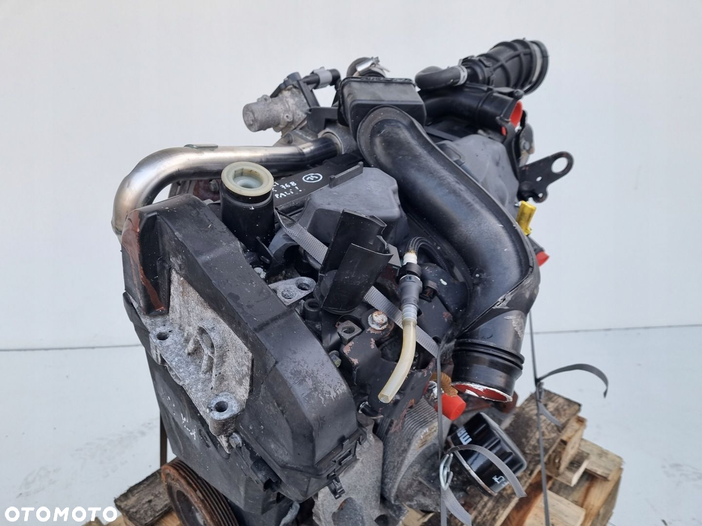 SILNIK KOMPLET Renault Clio III 1.5 DCI 68KM pali 100tyś K9K768 - 5