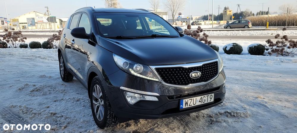 Kia Sportage - 1