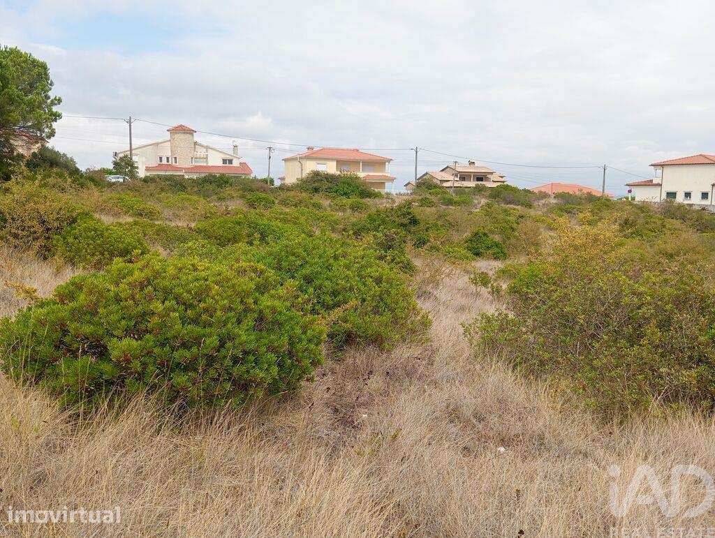Terreno Agrícola em Santo António dos Olivais - Grande imagem: 2/25