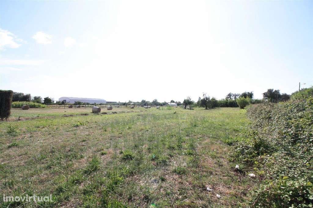 Terreno, Montemor-o-Velho, Montemor-o-Velho - Grande imagem: 2/6
