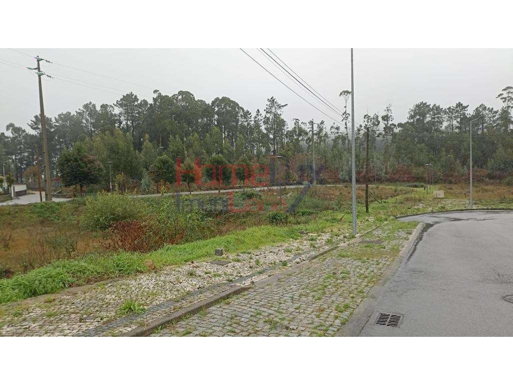 Lote de Terreno para construção em Fajões - Grande imagem: 5/8