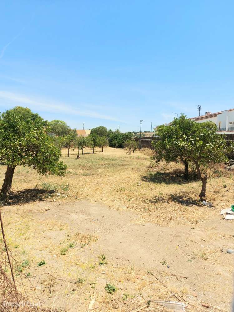Moradia T3 + T1 + Terreno Urbanizável (Horta) - Vidigueira - Grande imagem: 2/34