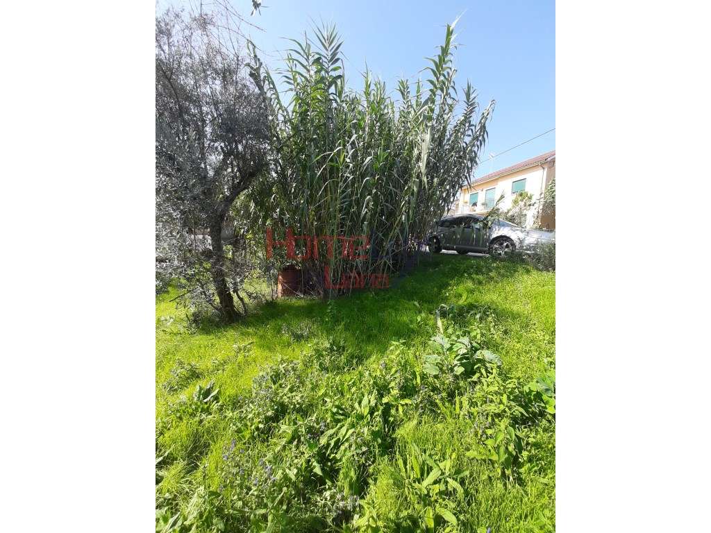 Terreno para construção - Grande imagem: 2/11