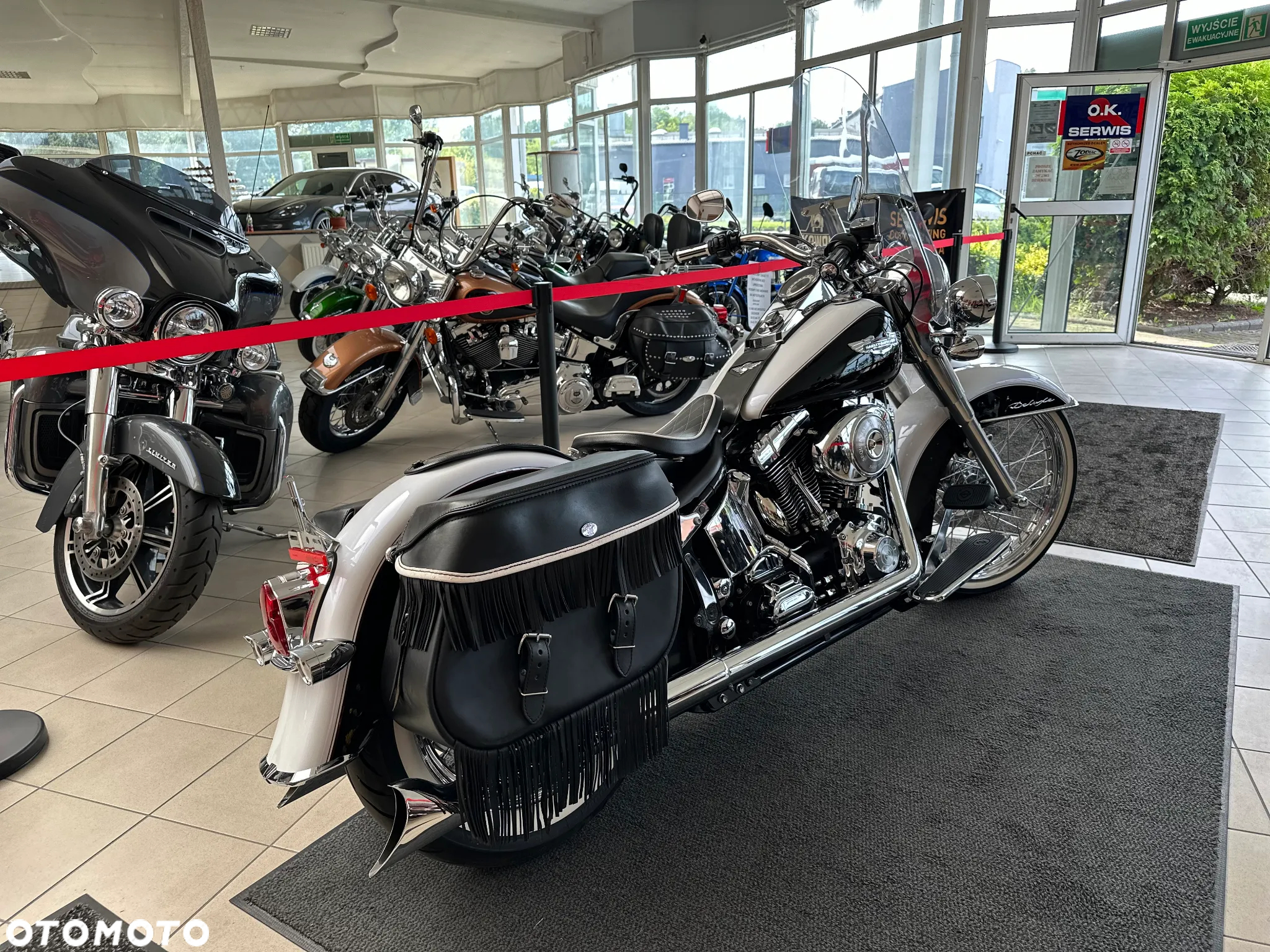 Harley-Davidson Softail - 6
