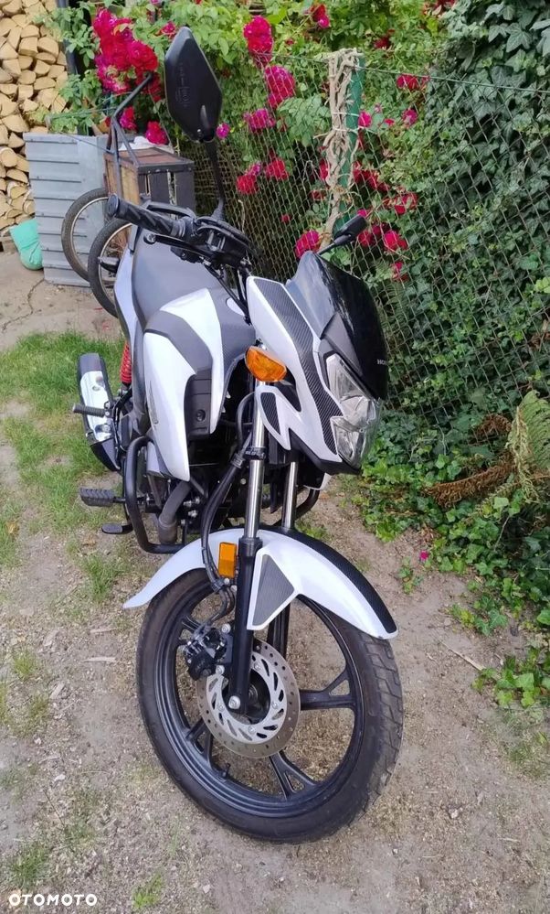 Honda CBF - 3