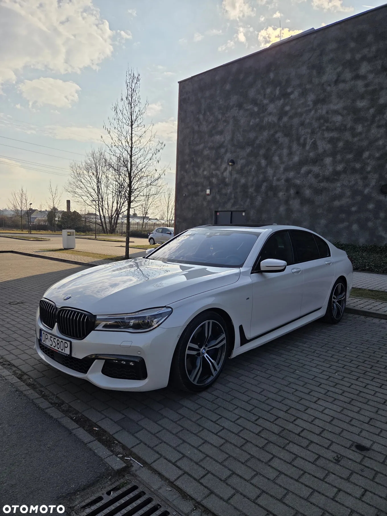 BMW Seria 7 750d xDrive - 25